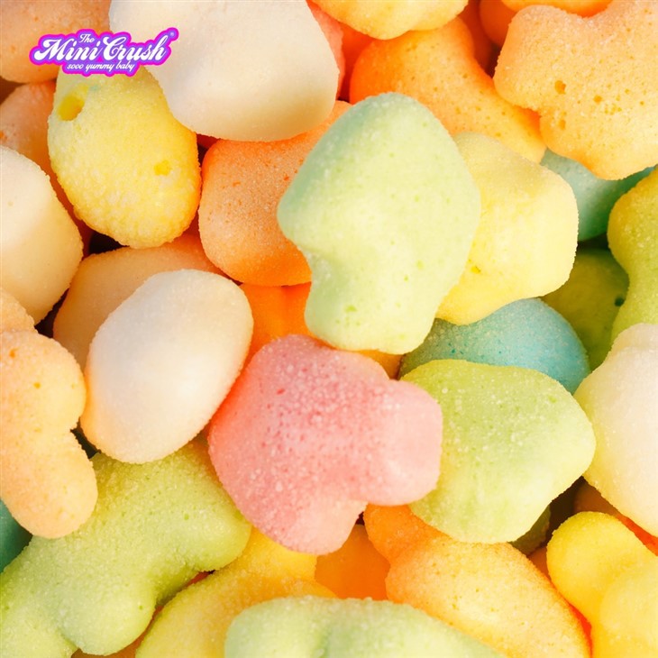 Freeze-dried Underwater World factory