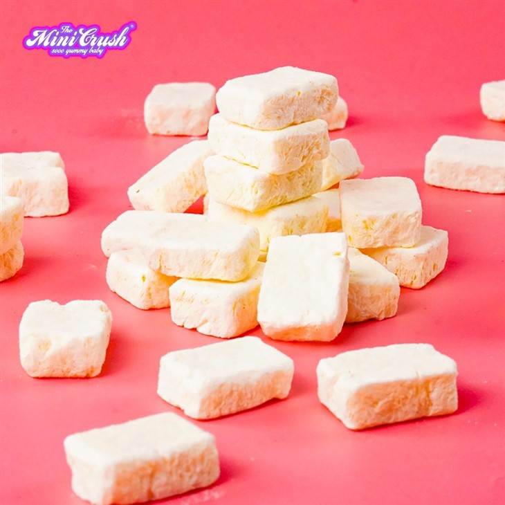 Freeze-Dried Vanilla Ice Cream suppliers